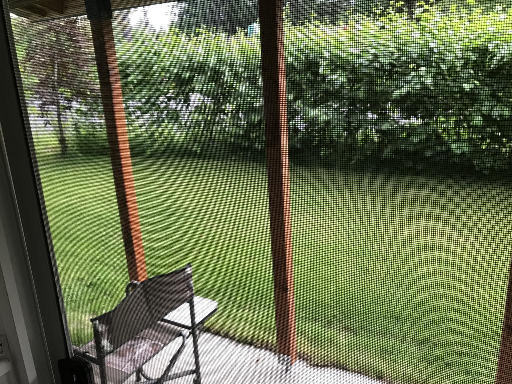 Apartment Resurrection River *