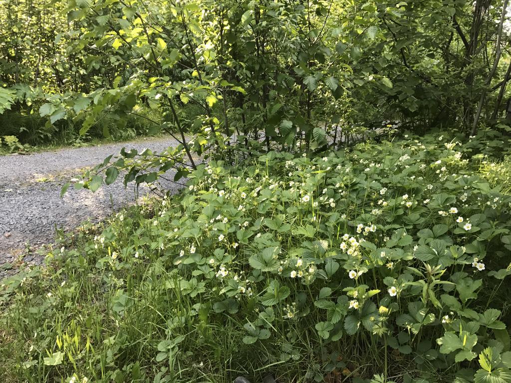 Apartment Resurrection River Seward